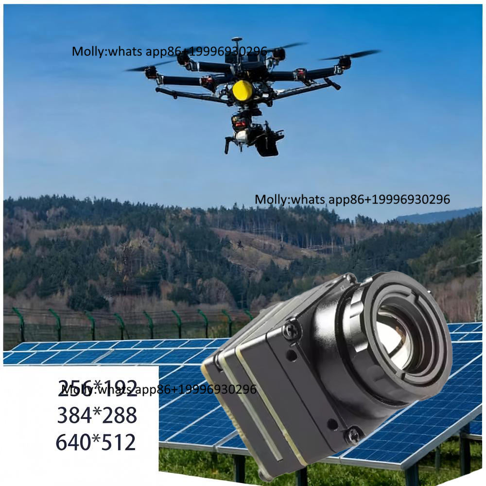 Modulo Fotocamera Termica Mini - Thermal Camera Type C 384X288 recensione e prezzo